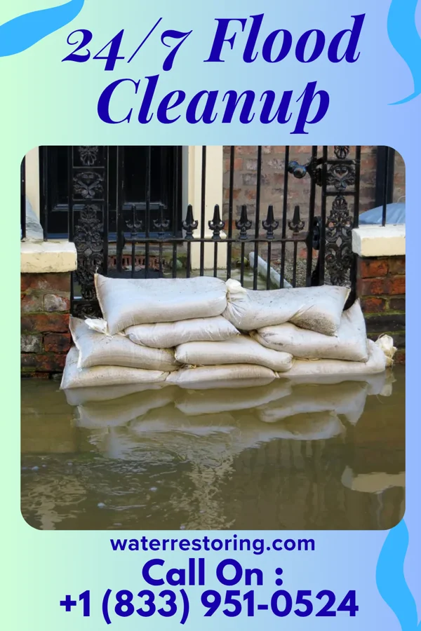 24/7 Flood Cleanup in Pine Point, MN