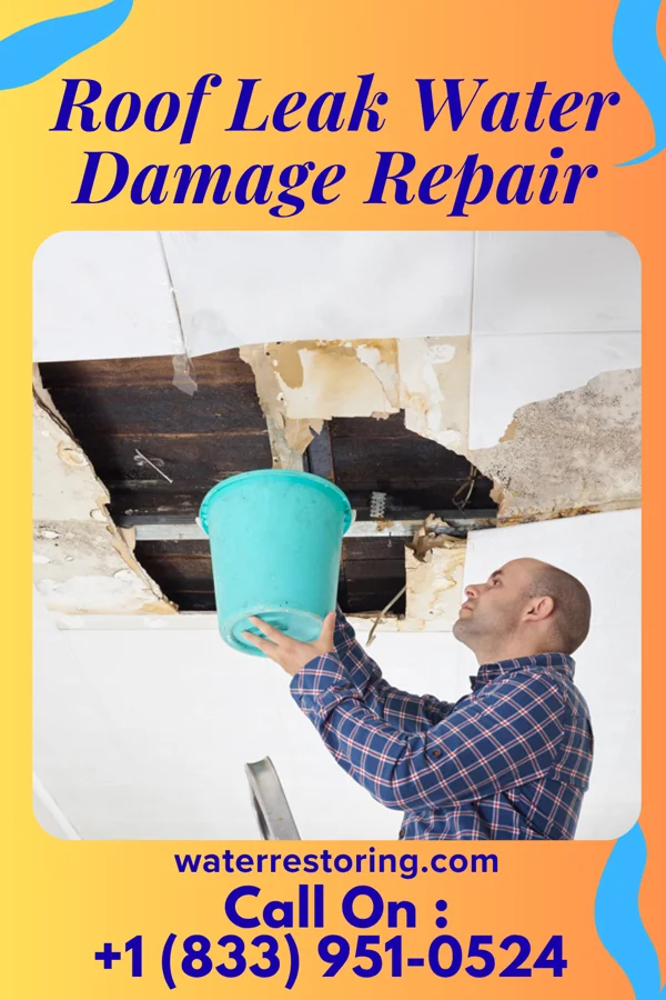 Roof Leak Water Damage Repair in Pine Point, MN